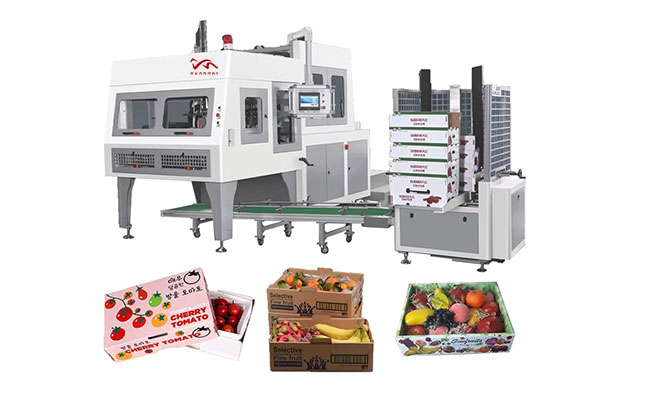 Automatic Small Box folding Forming Processing Fruit carton Making Machine