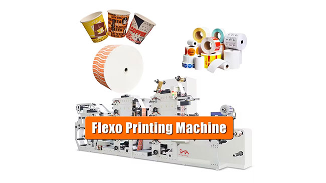 Paper Cup Printing and Die Cutting Machine Automatic Paper Processing Machinery Paper Cup Fan Punching Die Cutting Machine